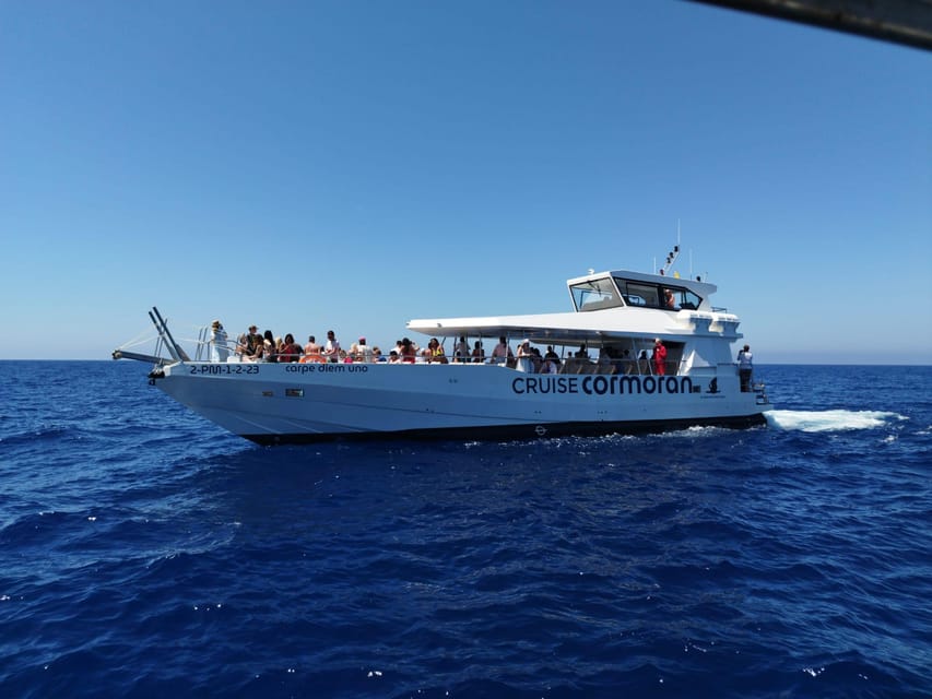 From Palma: 3-Hour Morning Dolphin Watching Boat Tour - A morning at sea aboard the Carpe Diem