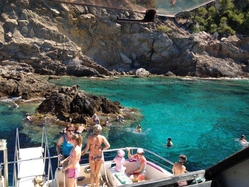From Palma: 3-Hour Morning Dolphin Watching Boat Tour - The cove stop brings a change of pace