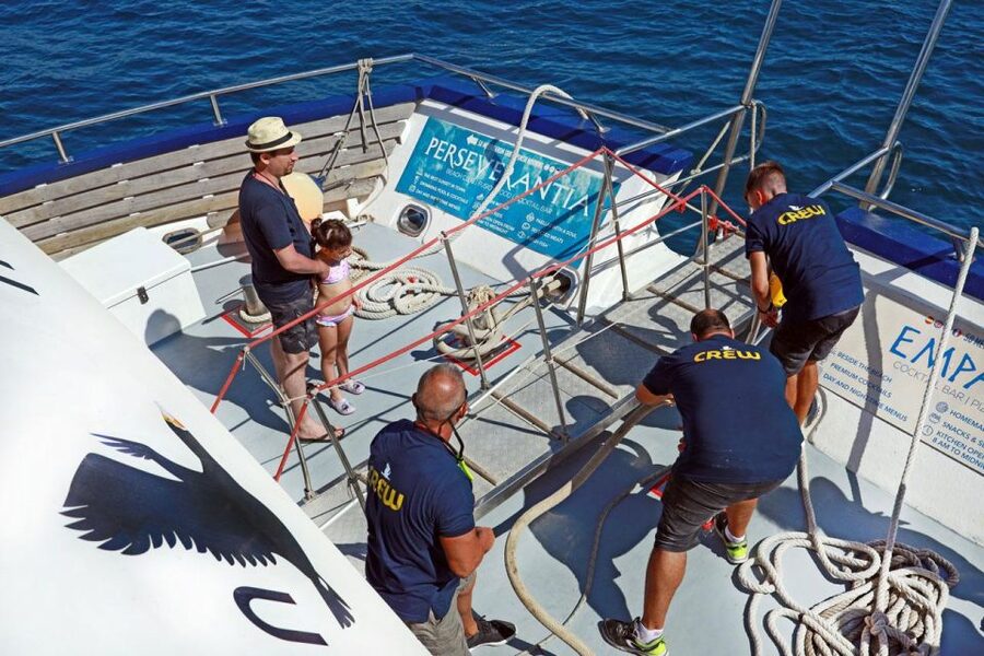 From Palma: 3-Hour Morning Dolphin Watching Boat Tour - Seating, shade, drinks, and the practical comforts