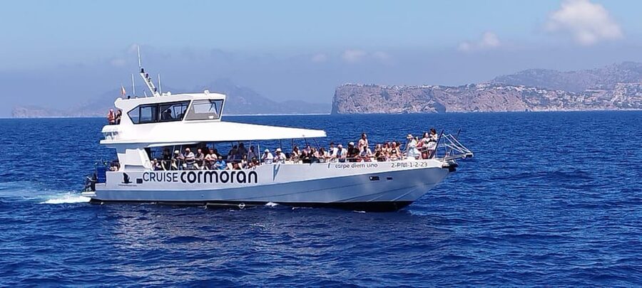 From Palma: 3-Hour Morning Dolphin Watching Boat Tour - Choosing between Palma and the resort-area transfers