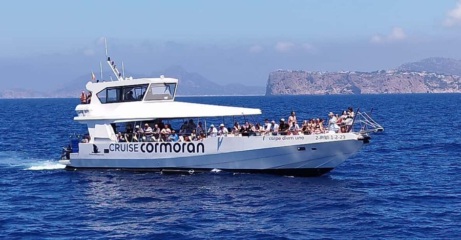 From Palma: Afternoon Dolphin-Watching Boat Tour - Leaving Palma Bay for El Toro and Port Adriano