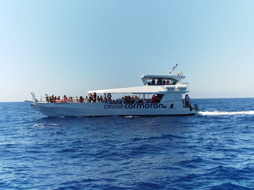 From Palma: Afternoon Dolphin-Watching Boat Tour - The swim stop near the Malgrat Islands