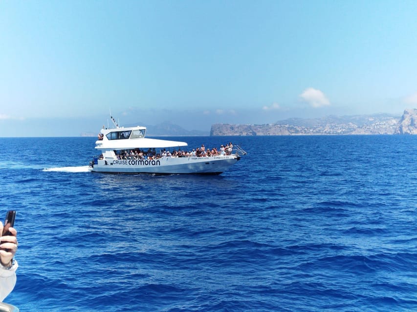 From Palma: Afternoon Dolphin-Watching Boat Tour - What the crew and boat experience feel like