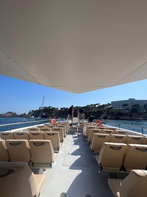 From Palma: Afternoon Dolphin-Watching Boat Tour - Practical ways to make the afternoon better