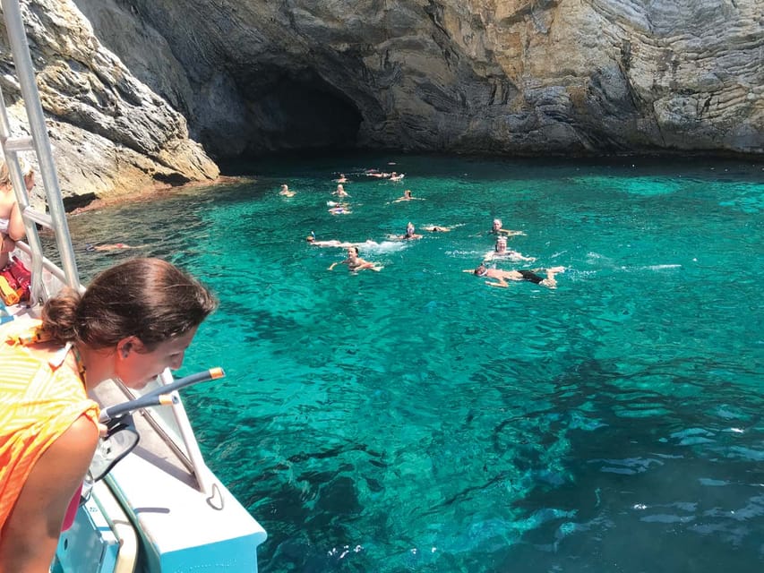 From Palma: Afternoon Dolphin-Watching Boat Tour - How the dolphin search works