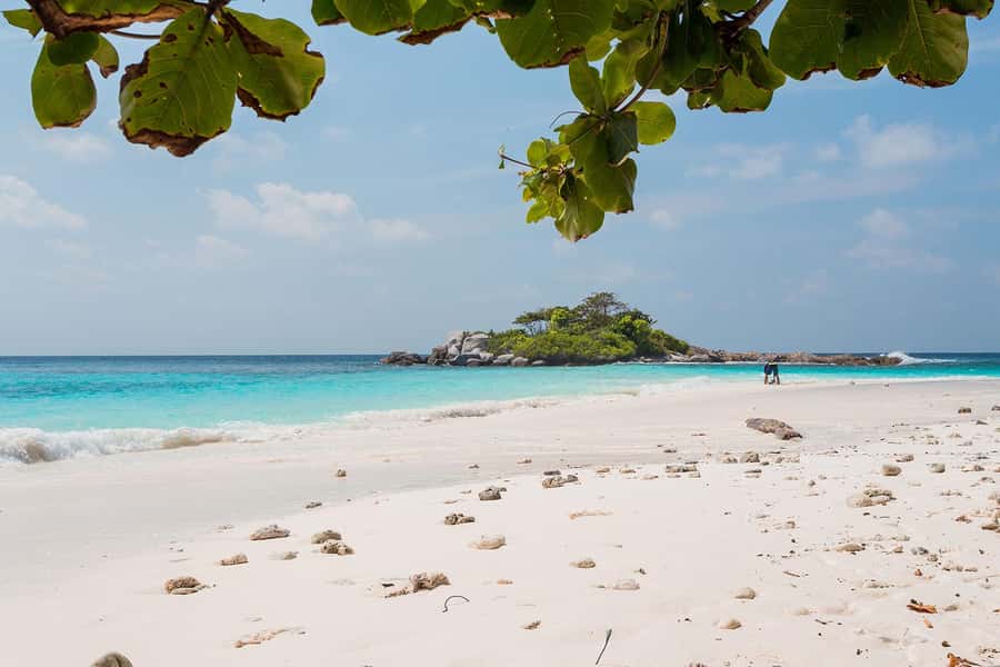 From Phuket: Racha & Maiton Island Dolphin Expedition - Who will enjoy this day most