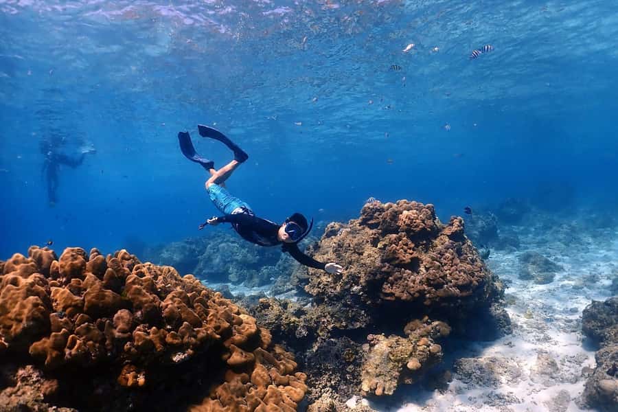 From Phuket: Racha & Maiton Island Dolphin Expedition - Banana Bay brings a second water stop