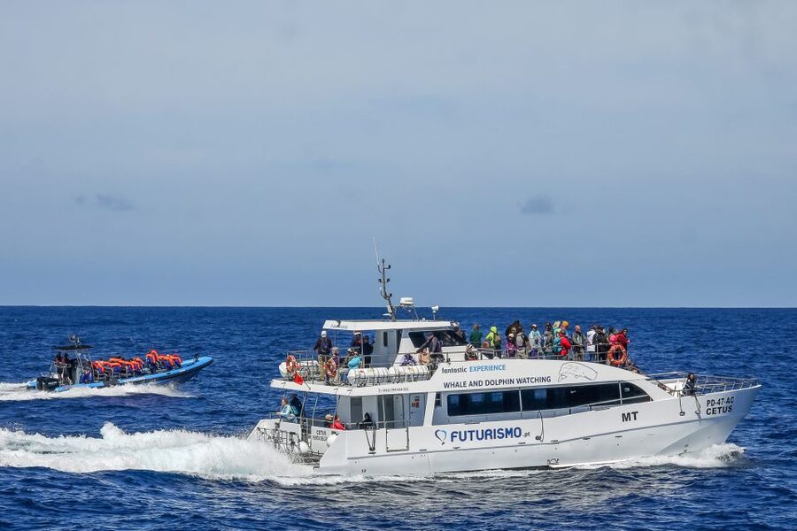 From Ponta Delgada: Whale and Dolphin Watching Trip - Leaving Ponta Delgada for the Atlantic
