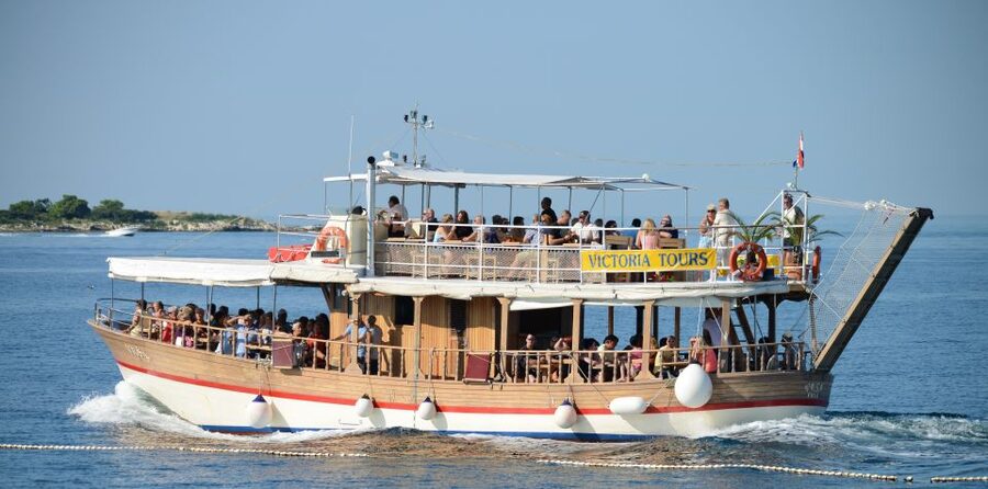 From Poreč: Evening Dolphin Cruise with Welcome Drink - Sunset timing and the return ride