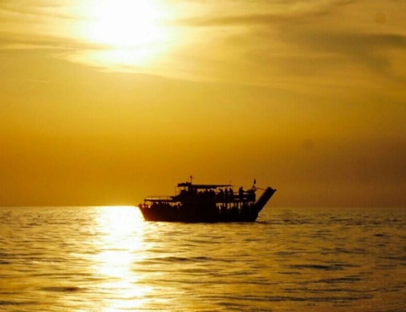 From Poreč: Evening Dolphin Cruise with Welcome Drink - What the dolphin search is really like