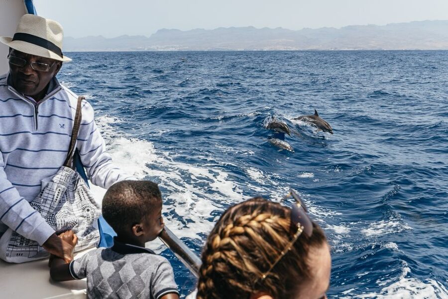 From Puerto Rico de Gran Canaria: Dolphin Watching Cruise - Should you book Spirit of the Sea?