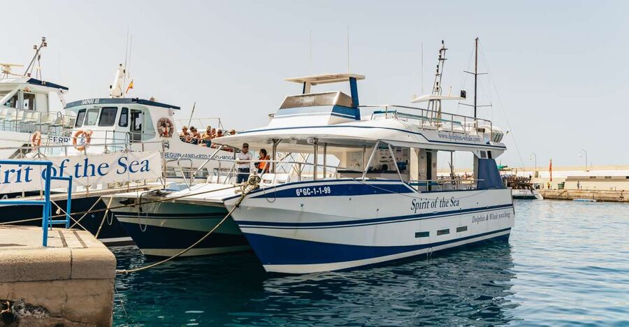 From Puerto Rico de Gran Canaria: Dolphin Watching Cruise - Leaving Puerto Rico for the open Atlantic