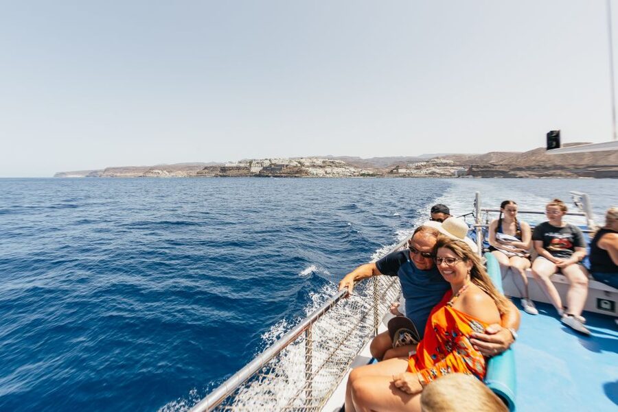 From Puerto Rico de Gran Canaria: Dolphin Watching Cruise - How much value do you get for $47?