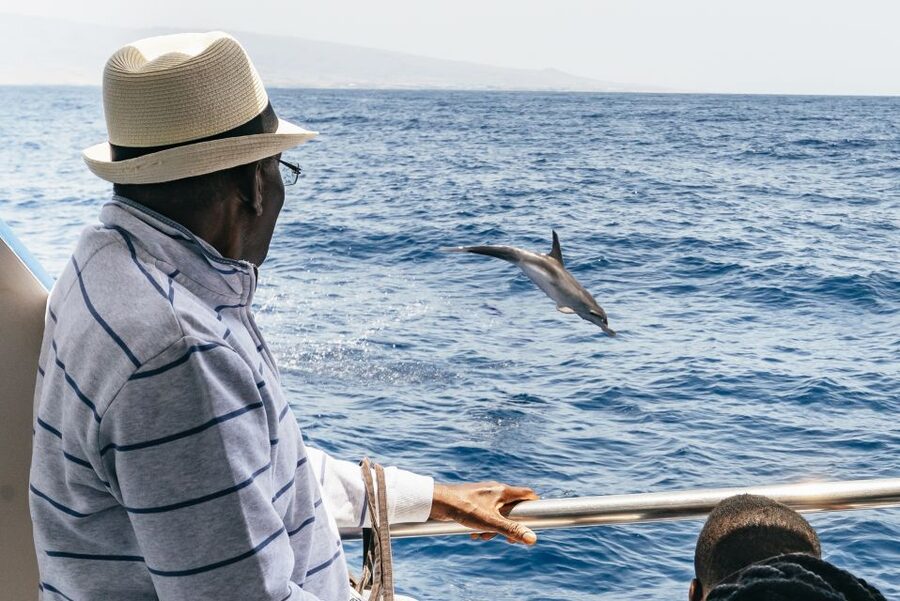 From Puerto Rico de Gran Canaria: Dolphin Watching Cruise - Who will enjoy this cruise most?