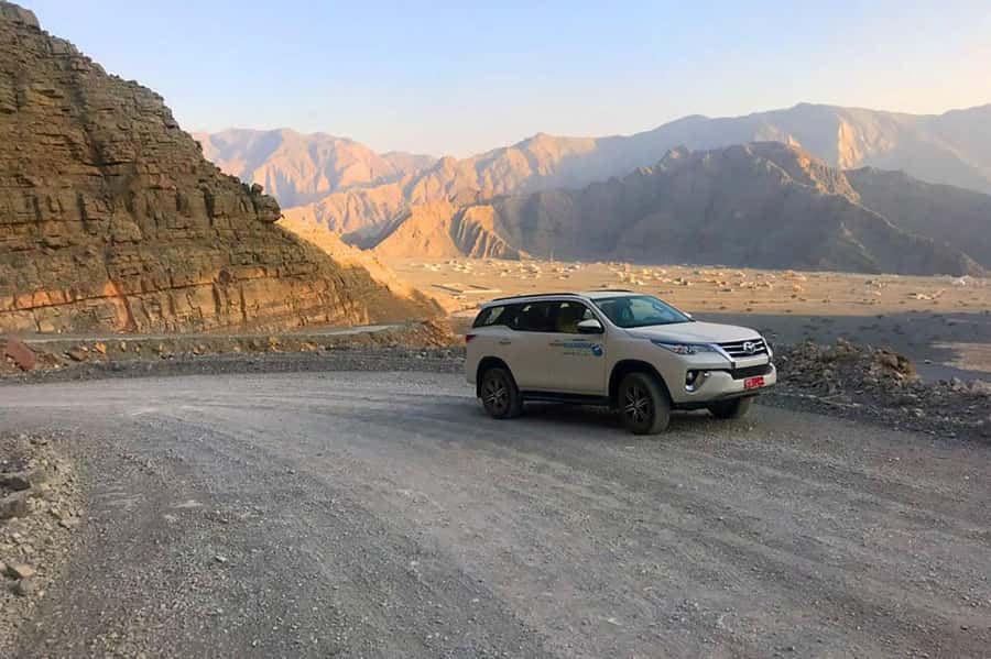 From Ras Al Khaima : Dolphin Watching and Jabal Harim Safari - What the $760 price means for a group of four