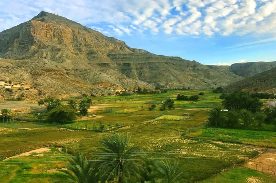 From Ras Al Khaima : Dolphin Watching and Jabal Harim Safari - Timing, comfort, and what to pack