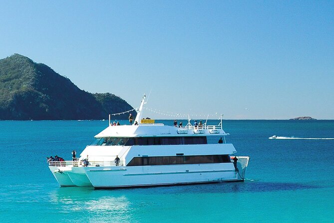 From Sydney: Port Stephens Dolphin, Koalas, Lunch & Sandboarding - Why this Port Stephens day trip works