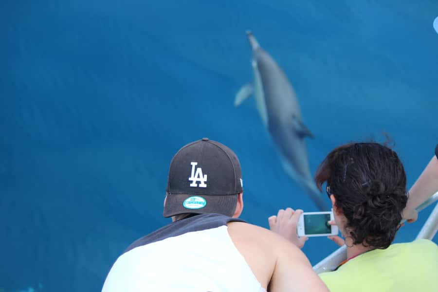 From Tauranga: Dolphin and Wildlife Cruise - The boat, the bar, and five hours on the water