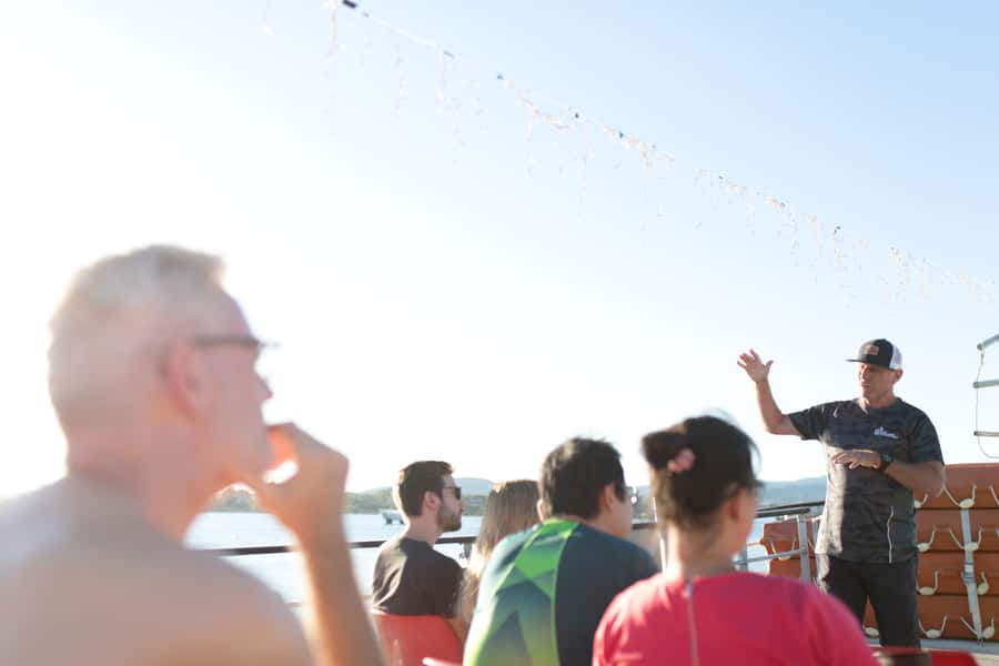 From Tauranga: Dolphin and Wildlife Cruise - Why weather can change the whole day