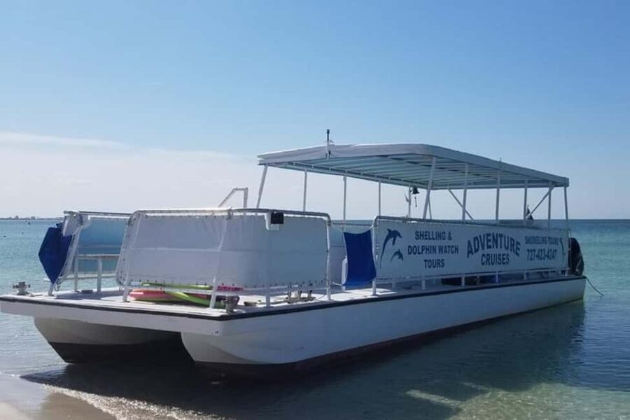 From Treasure Island: Dolphin Watching and Shelling Cruise - Who will enjoy this cruise most?