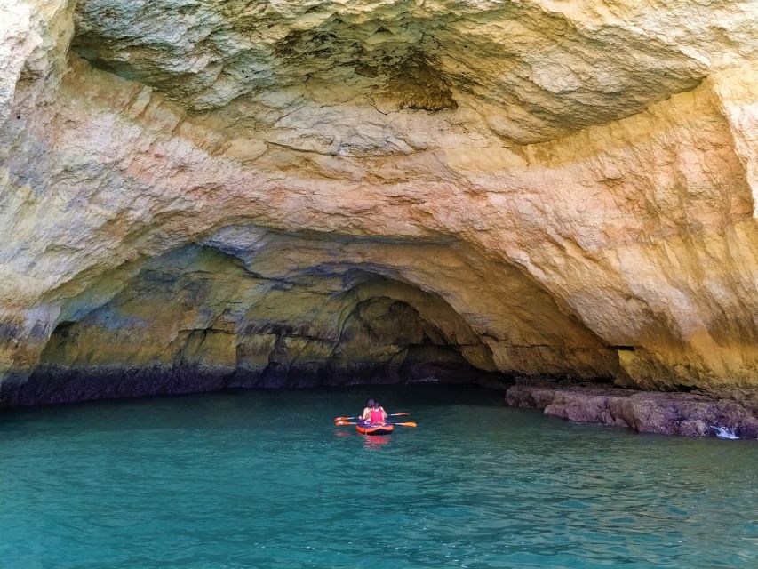 From Vilamoura: 2.5-Hour Benagil Cave and Dolphins Boat Tour - Is $53 a fair price?
