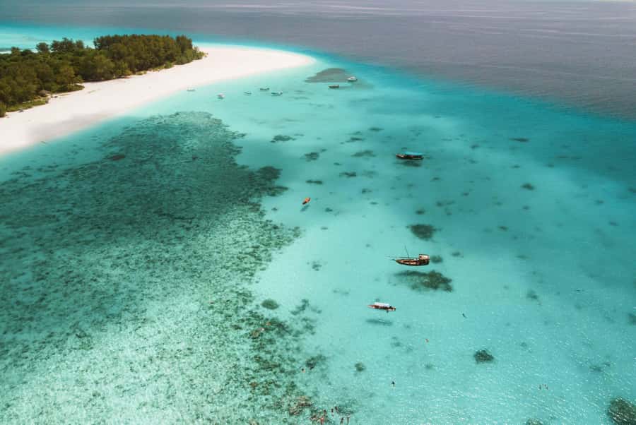 From Zanzibar: Mnemba Boat Tour with Snorkeling & Dolphine - The boat ride to the dolphin area