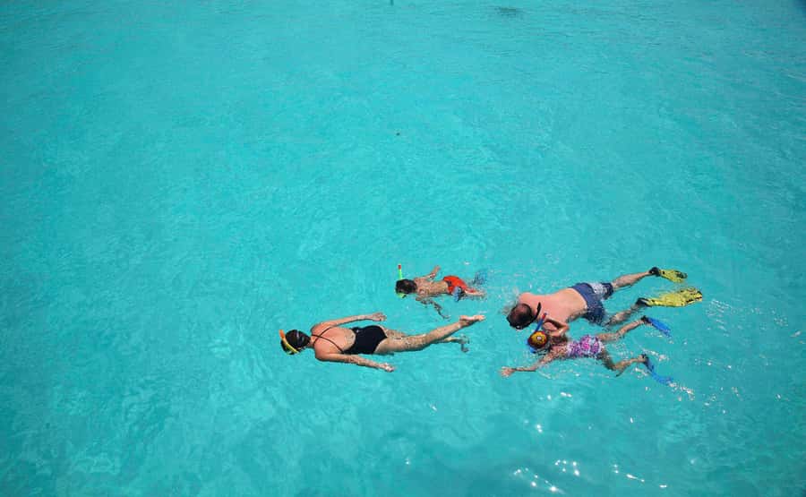 From Zanzibar: Mnemba Boat Tour with Snorkeling & Dolphine - Who will enjoy this morning most?
