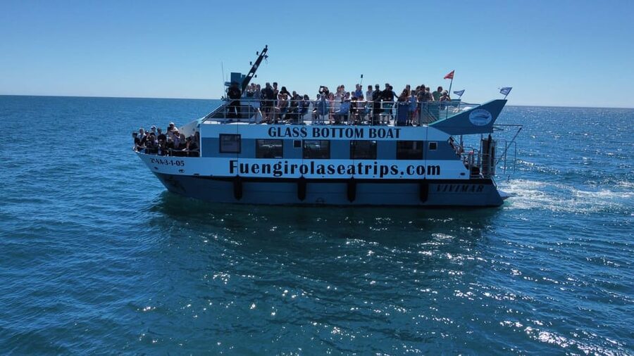 Fuengirola: Catamaran Tour to Spot Dolphins - Quick take on the Fuengirola dolphin cruise