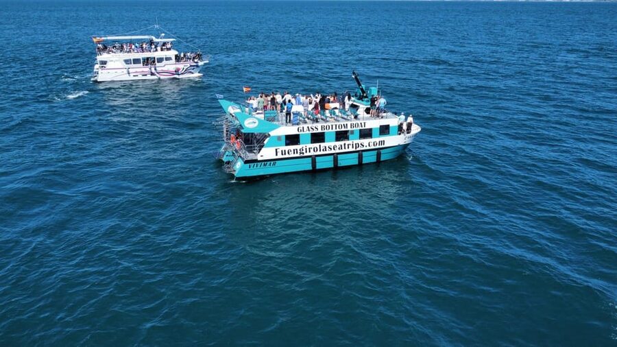 Fuengirola: Catamaran Tour to Spot Dolphins - What the dolphins encounter is really like