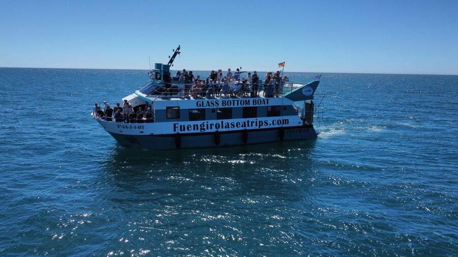 Fuengirola: Catamaran Tour to Spot Dolphins - Who should book this Fuengirola boat trip?