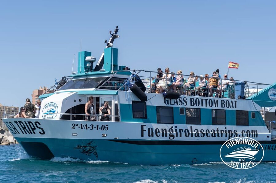 Fuengirola: Catamaran Tour to Spot Dolphins - Searching for dolphins across the Mediterranean