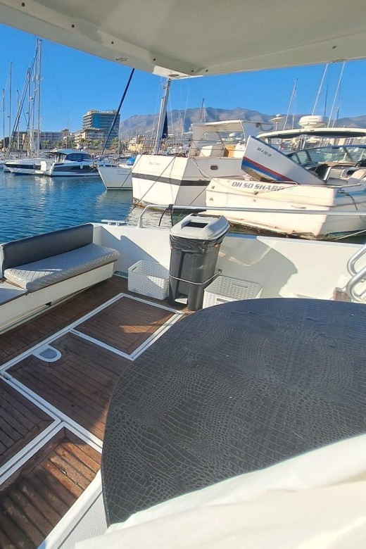 Fuengirola: Dolphin Spotting Tour - Key points to know before you book