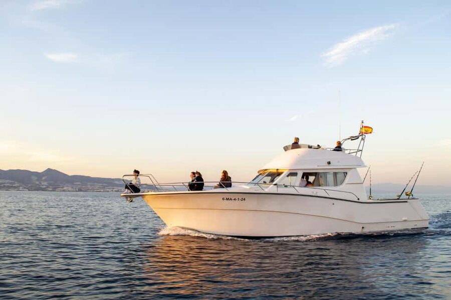 Fuengirola: Dolphin Watching Boat Trip — Fun for All Ages - Why the small group changes the experience