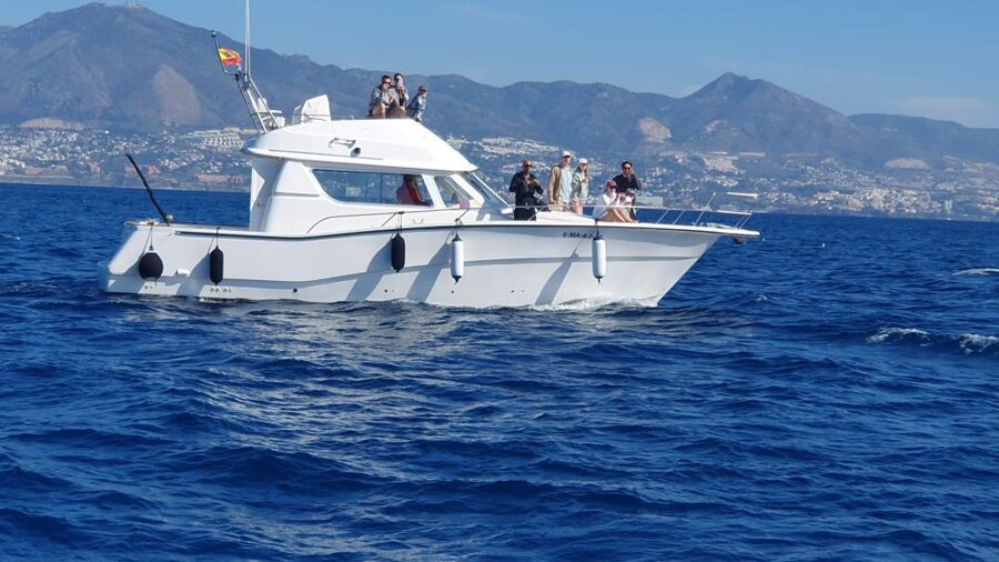 Fuengirola: Dolphin Watching Boat Trip — Fun for All Ages - Drinks, snacks, and the relaxed onboard rhythm