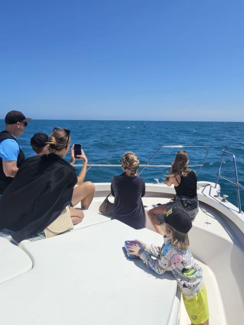 Fuengirola: Dolphin Watching Boat Trip — Fun for All Ages - The possible swim stop offshore