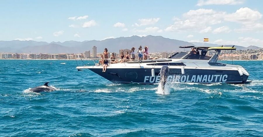 Fuengirola: Dolphin Watching by Yacht with Snacks and Drinks - Should you book the dolphin cruise?
