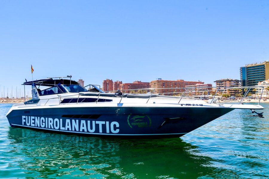 Fuengirola: Dolphin Watching by Yacht with Snacks and Drinks - A Fuengirola cruise built around wild dolphins