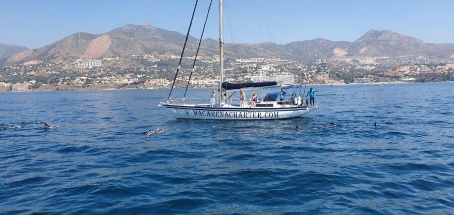 Fuengirola: Dolphin-Watching Sailing Tour with Drinks - The search for dolphins along the Costa del Sol