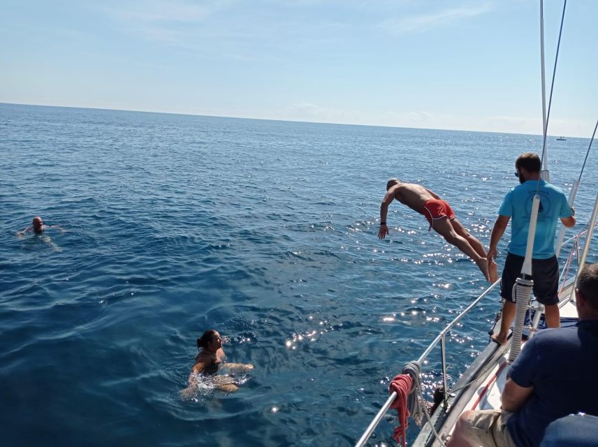 Fuengirola: Dolphin-Watching Sailing Tour with Drinks - What the two-hour schedule feels like