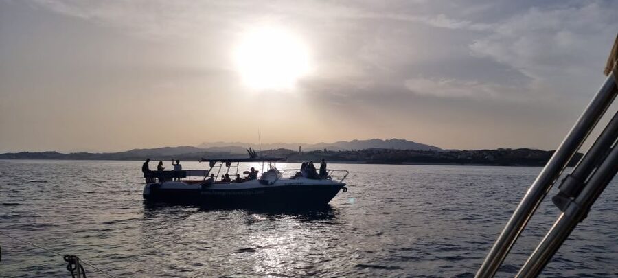 Fuengirola: Fantastic Dolphin Watching Yacht Tour with Drink - Key points to know before booking