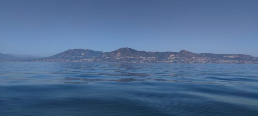 Fuengirola: Fantastic Dolphin Watching Yacht Tour with Drink - Booking details that affect your plans