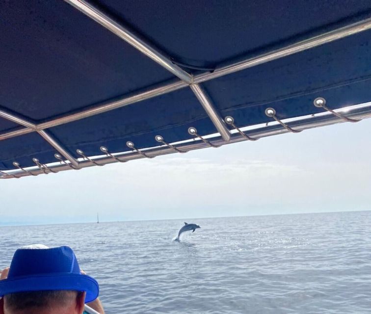 Fuengirola: Fantastic Dolphin Watching Yacht Tour with Drink - What the two-hour format gives you
