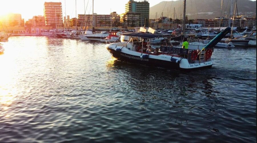 Fuengirola: Fantastic Dolphin Watching Yacht Tour with Drink - Comfort aboard the yacht