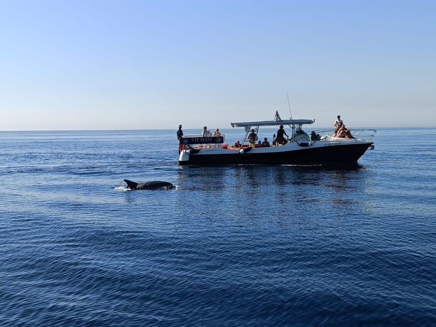 Fuengirola: Fantastic Dolphin Watching Yacht Tour with Drink - Drinks and the onboard service