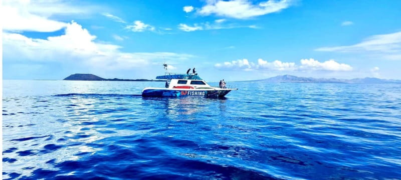 Fuerteventura: Dolphin watching and Lobo Island Combo Cruise - Who should book this Corralejo cruise?
