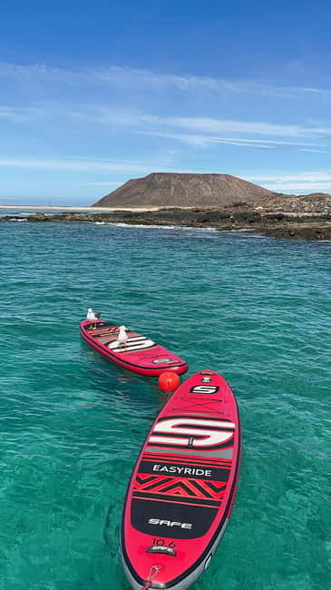 Fuerteventura: Dolphin watching and Lobo Island Combo Cruise - Dolphin watching, with honest expectations