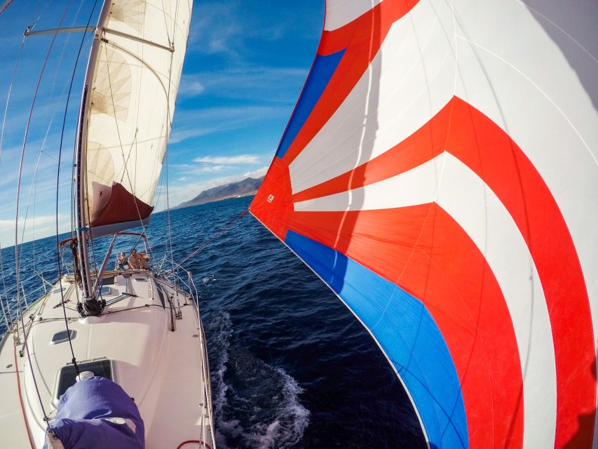 Fuerteventura: Sailing with Snorkeling and Dolphin Watching - The swim and snorkeling stop near Morro Jable
