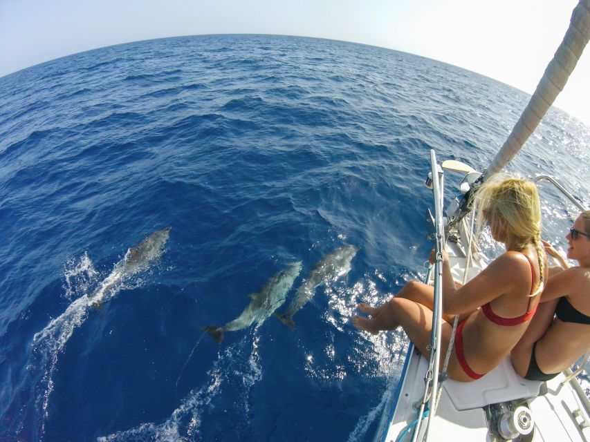 Fuerteventura: Sailing with Snorkeling and Dolphin Watching - Tapas, wine, beer, and a relaxed sail home