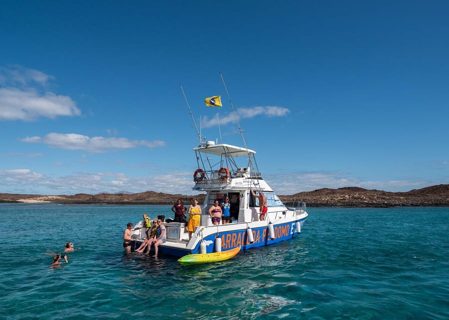 Fuerteventura: Whale & Dolphin Watching Boat Tour with Guide - Lunch, Drinks, and Life on the Catamaran