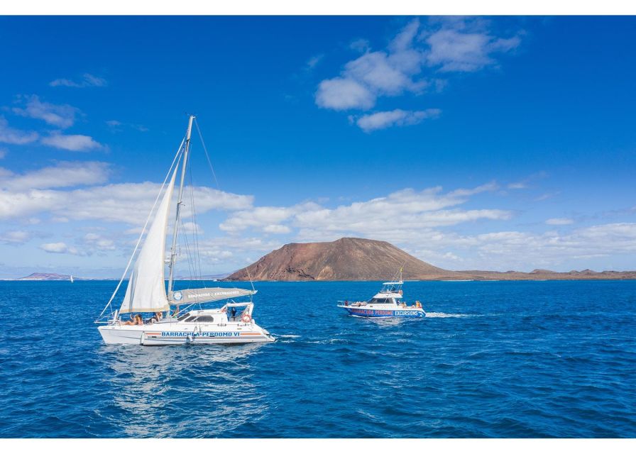 Fuerteventura: Whale & Dolphin Watching Boat Tour with Guide - FAQ